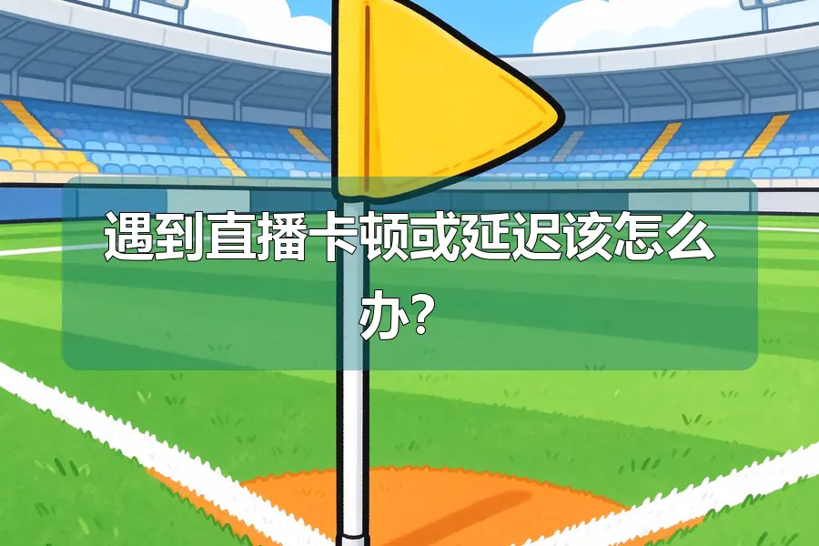 遇到直播卡顿或延迟该怎么办?